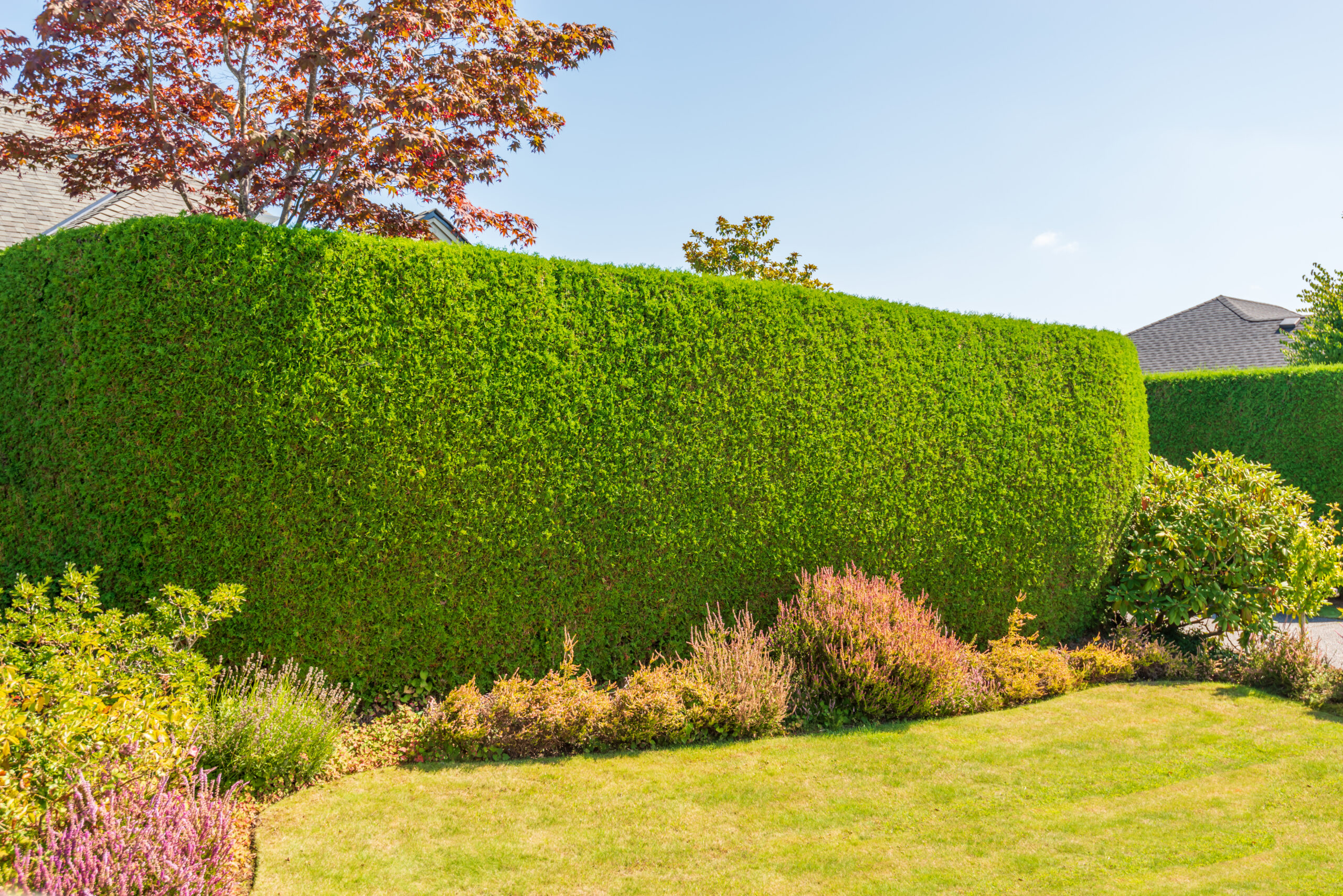 Fence built from trees outdoor landscape securit 2026 03 26 10 49 44 utc