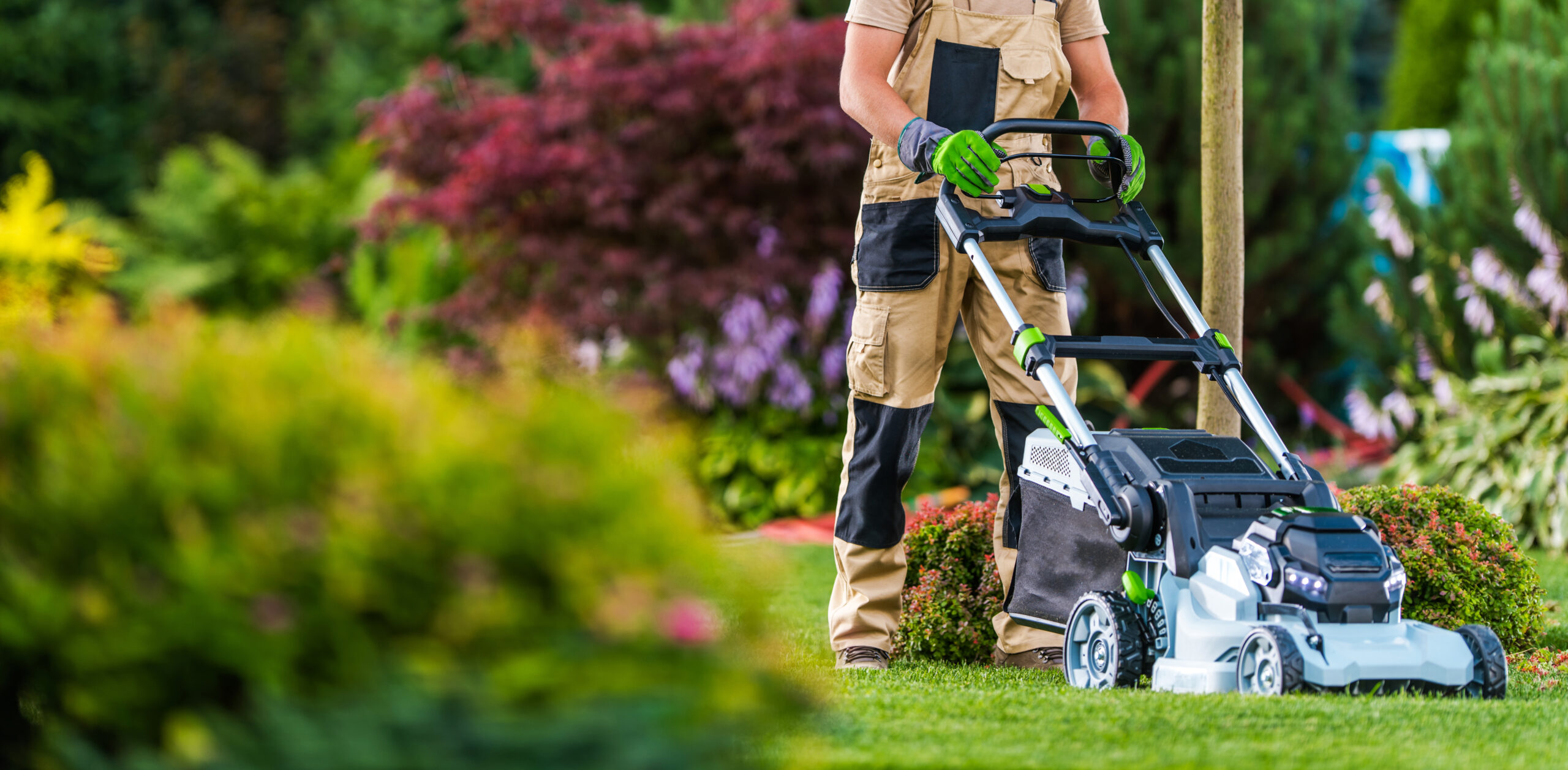 Summer Time Lawn Mowing in Colourful Blooming Garden